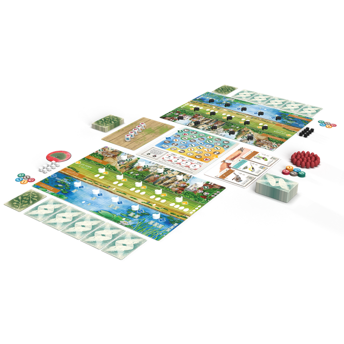 Bordspel: Wingspan Uitbreiding Azië NL - Afbeelding 3